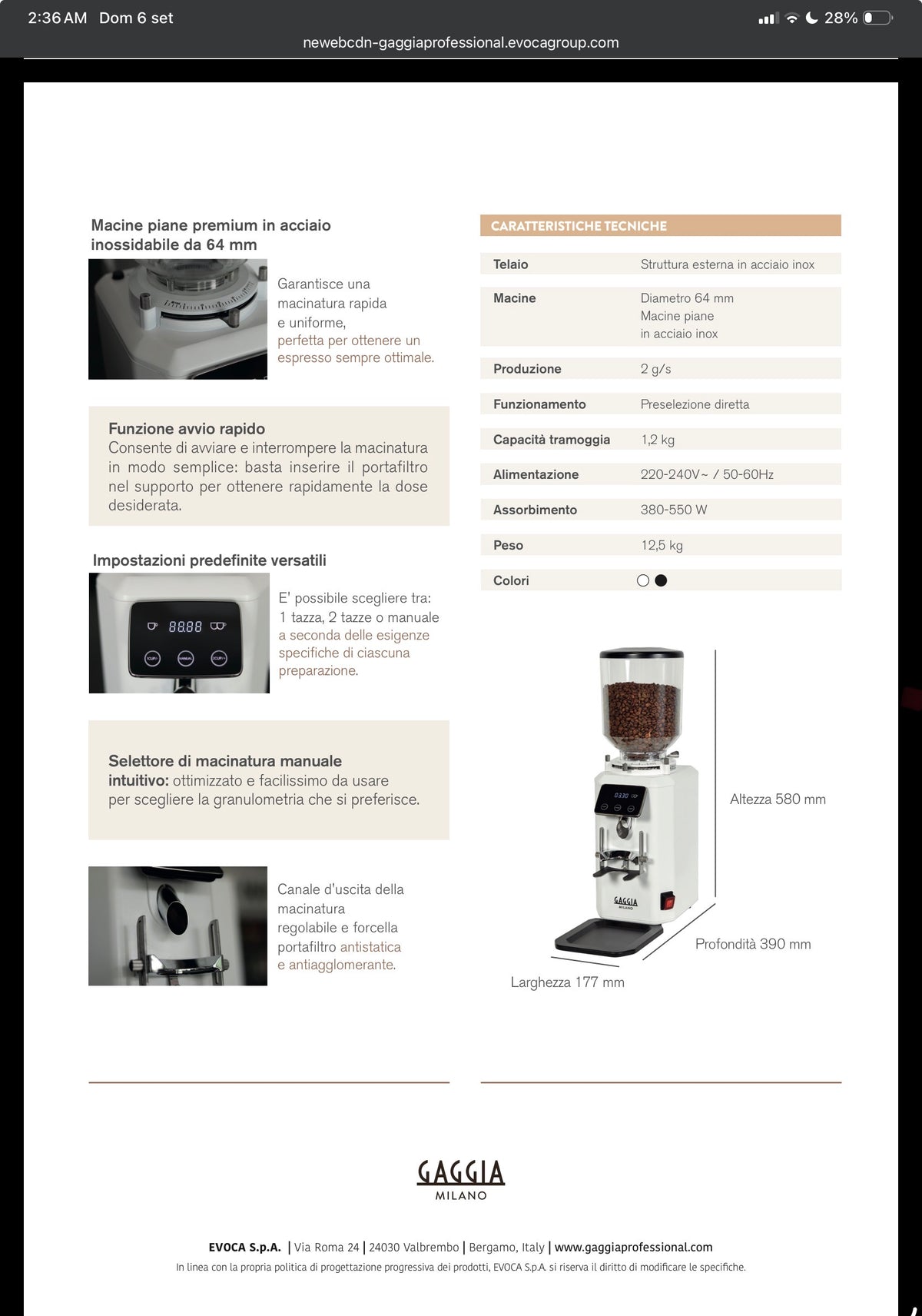 Gaggia molino G4