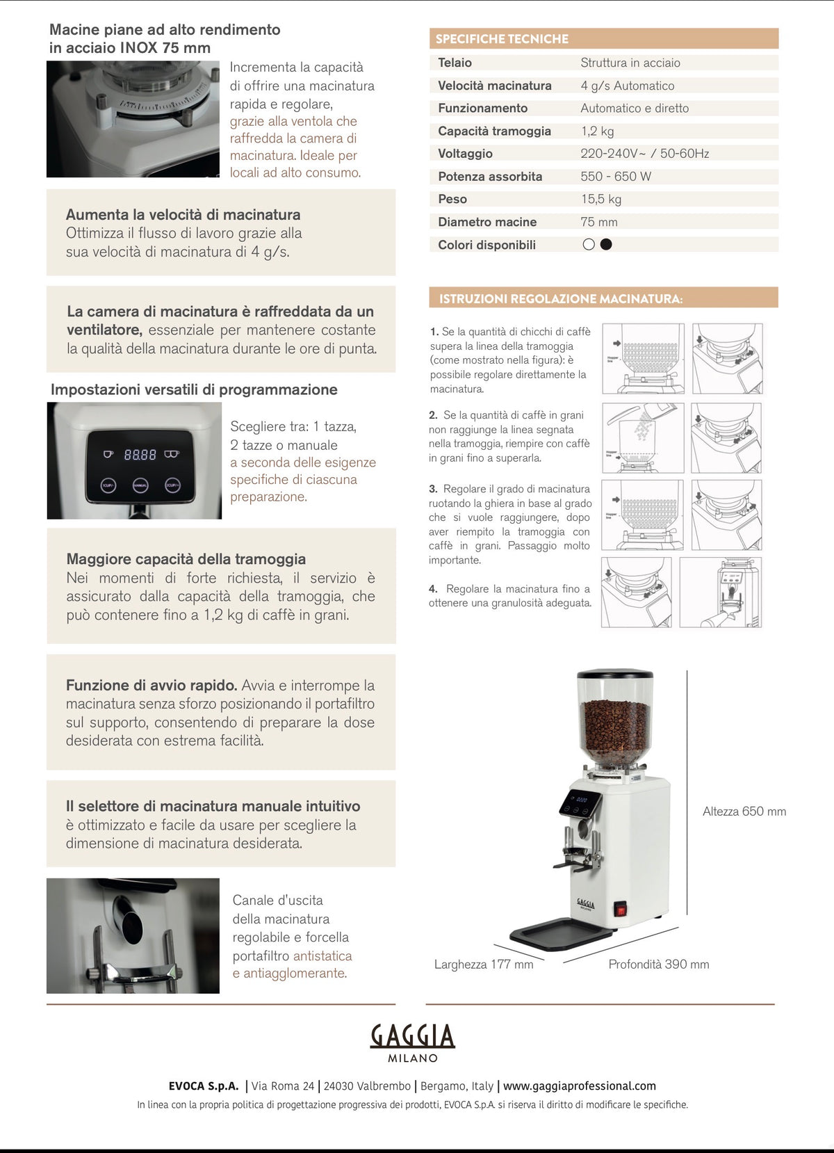 Gaggia molino G6